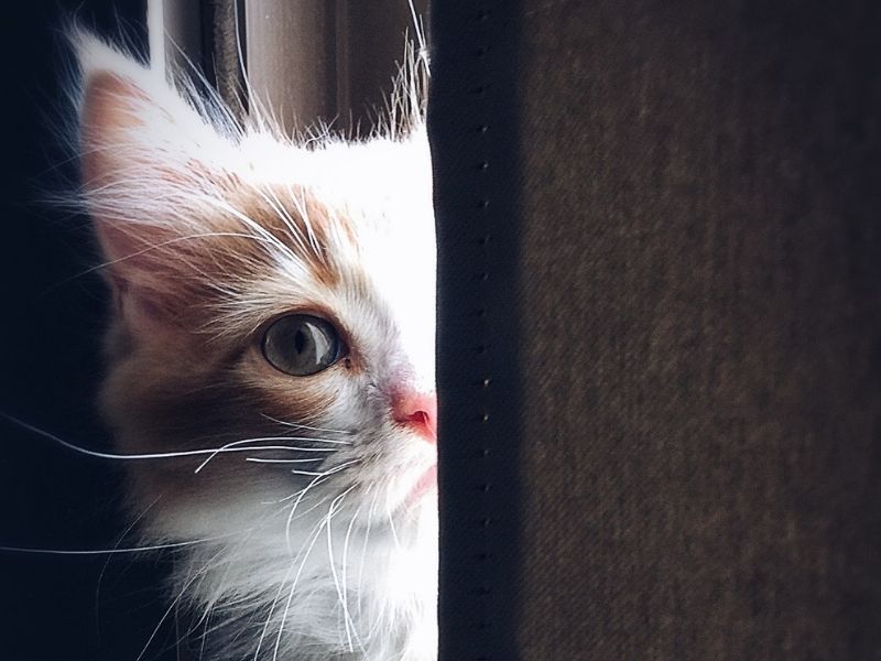 sklep erotyczny eroprezent.pl - wpis na blogu - MIĘKKIE TORBY Z MATERIAŁU TO PROSTE ROZWIĄZANIE