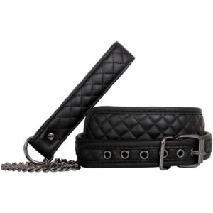 A E EVES FETISH DREAMS COLLAR   LEASH