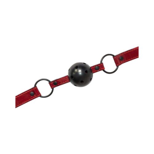 Ball-Gag-Party-Hard-Love-Bite-265E346-2.jpg Ball-Gag-Party-Hard-Love-Bite-265E346-2.jpg