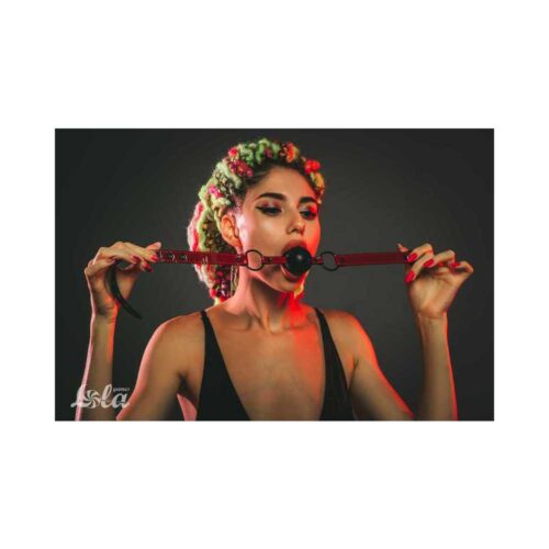 Ball-Gag-Party-Hard-Love-Bite-265E346-4.jpg Ball-Gag-Party-Hard-Love-Bite-265E346-4.jpg