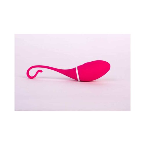 Bezprzewod-jajko-sterowane-aplikacja-IRENA-roz-131E999-3.jpg Bezprzewod-jajko-sterowane-aplikacja-IRENA-roz-131E999-3.jpg