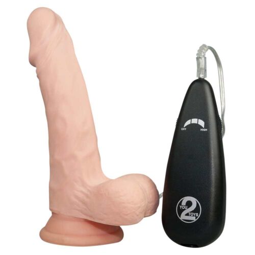 DILDO-REALISTIXXX-REAL-NICE-GUY-120E055-1.jpg DILDO-REALISTIXXX-REAL-NICE-GUY-120E055-1.jpg