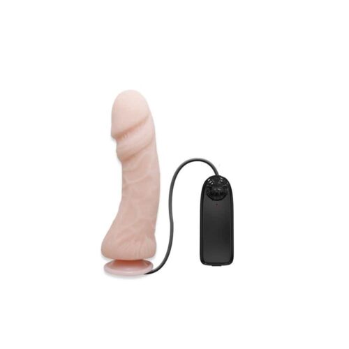 DILDO-THE-BIG-PENIS-247E944-1.jpg