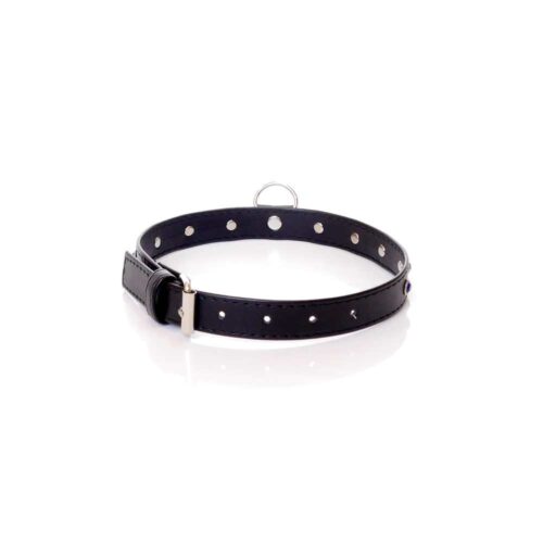 Fetish-Boss-Series-Collar-2-cm-navy-blue-crystal-168E300-2.jpg Fetish-Boss-Series-Collar-2-cm-navy-blue-crystal-168E300-2.jpg