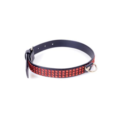 Fetish Boss Series Collar with crystals 2 cm Red Line 139E037 2