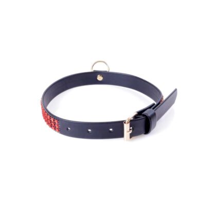 Fetish Boss Series Collar with crystals 2 cm Red Line 139E037 3