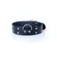 Fetish-Boss-Series-Collar-with-studs-4-cm-131E842-1.jpg