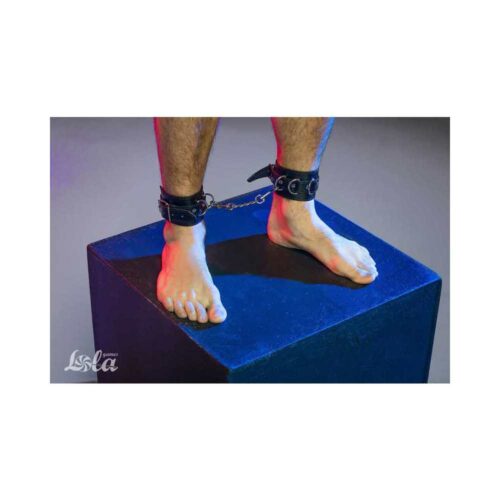 Kajdanki-Ankle-Cuffs-Party-Hard-Dreamer-265E355-4.jpg Kajdanki-Ankle-Cuffs-Party-Hard-Dreamer-265E355-4.jpg