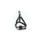 Knebel-Imbracatura-Viso-con-morso-Head-Harness-Ball-Gag-119E752-1.jpg