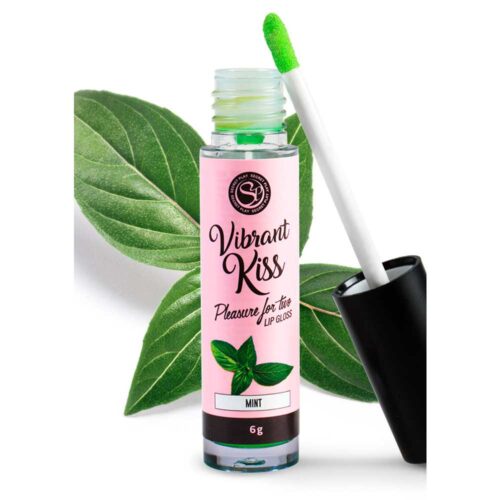 Lip-Gloss-Vibrant-Kiss-MINT-138E622-1.jpg Lip-Gloss-Vibrant-Kiss-MINT-138E622-1.jpg