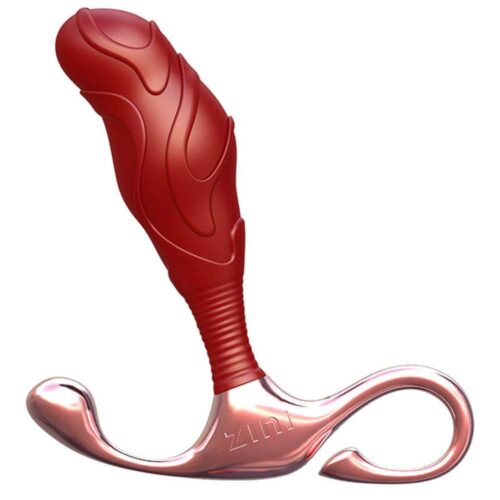 Masazer-prostaty-ZINI-Lamp-Iron-Prostate-Massager-Large-140E378-1.jpg