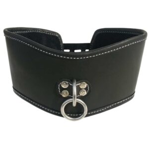 Obroża  Sportsheets Edge Soft Leather Posture Collar