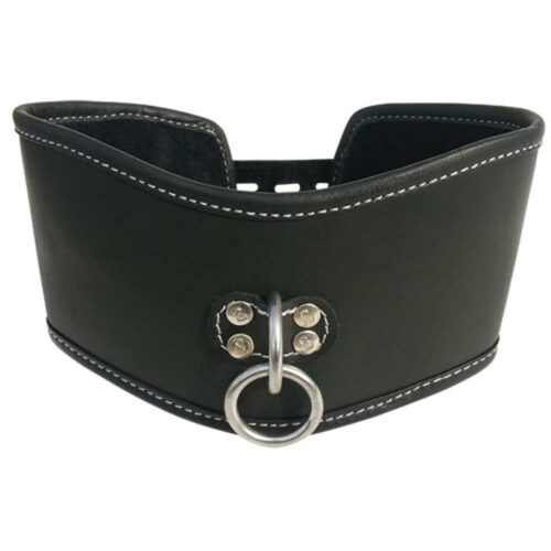 Obroza-Sportsheets-Edge-Soft-Leather-Posture-Collar-122E111-1.jpg