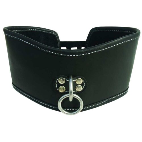 Obroza-Sportsheets-Edge-Soft-Leather-Posture-Collar-122E111-3.jpg Obroza-Sportsheets-Edge-Soft-Leather-Posture-Collar-122E111-3.jpg