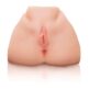 PET-Big-Ass-Vibrating-Pussy-Li-175E976-3.jpg
