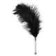 PIORKO-FEATHER-BLACK-ACRYLIC-128E463-1.jpg