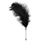 PIORKO-FEATHER-BLACK-ACRYLIC-128E463-2.jpg