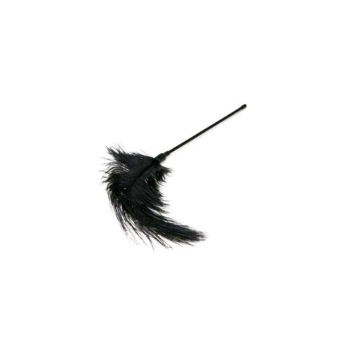 Pejcz-Black-Feather-Tickler-112E181-3.jpg Pejcz-Black-Feather-Tickler-112E181-3.jpg