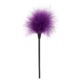 Pejcz-SEXY-FEATHER-TICKLER-PURPLE-102E351-2.jpg