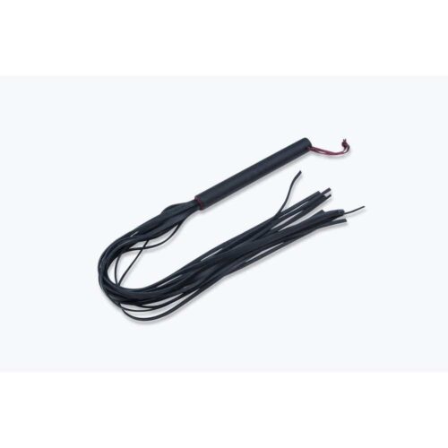 Pejcz-Whips-120E905-2.jpg Pejcz-Whips-120E905-2.jpg