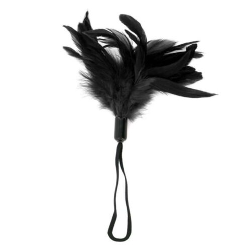 Piorko-do-laskotania-Sportsheets-Pleasure-Feather-Black-Czarne-123E691-1.jpg