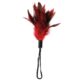 Piorko-do-laskotania-Sportsheets-Pleasure-Feather-Red-Czerwone-123E554-2.jpg