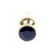 Plug-Jewellery-Gold-BUTT-PLUG-Black-136E712-2.jpg