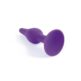 Plug-Silicone-Plug-Purple-Small-136E735-2.jpg