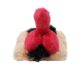 Pluszaki-Poduszka-penis-mini-103E525-2.jpg