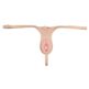STRAPON-PUSSY-STRAP-ON-130E487-2.jpg