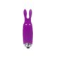 Stymulator-Lastic-pocket-vibe-Rabbit-Purple-100E363-2.jpg