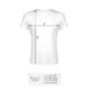 T-shirt-men-white-L-regular-170E420-4.jpg