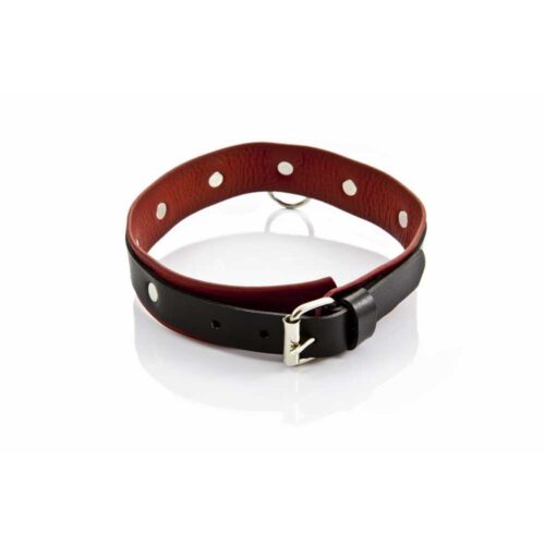 Wiazania-WHIPS-obroza-damska-srednia-120E896-2.jpg Wiazania-WHIPS-obroza-damska-srednia-120E896-2.jpg