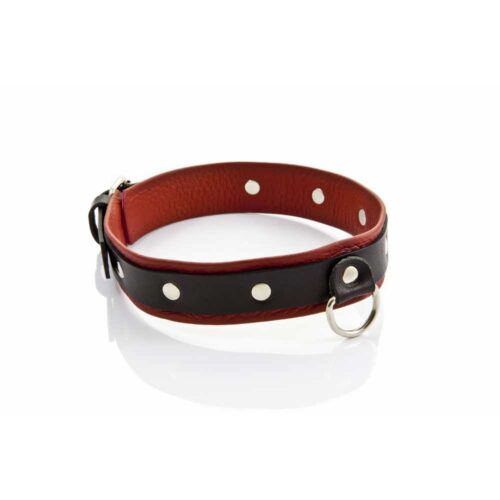 Wiazania-WHIPS-obroza-damska-srednia-120E896-3.jpg Wiazania-WHIPS-obroza-damska-srednia-120E896-3.jpg