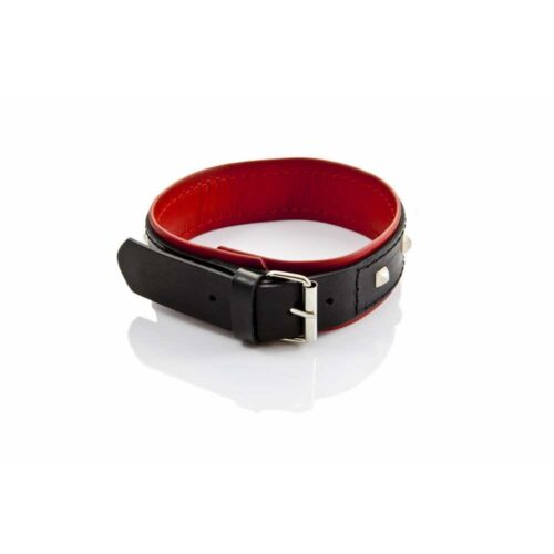 Wiazania-WHIPS-obroza-damska-z-cwiekami-120E898-2.jpg Wiazania-WHIPS-obroza-damska-z-cwiekami-120E898-2.jpg