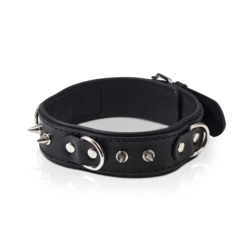 Wiazania-WHIPS-obroza-meska-z-polkolkami-i-smycza-120E901-2.jpg Wiazania-WHIPS-obroza-meska-z-polkolkami-i-smycza-120E901-2.jpg