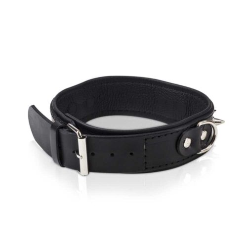 Wiazania-WHIPS-obroza-meska-z-polkolkami-i-smycza-120E901-3.jpg Wiazania-WHIPS-obroza-meska-z-polkolkami-i-smycza-120E901-3.jpg