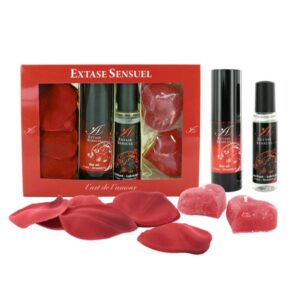 Zestaw akcesoriów  Extase Sensuel Coffret Rouge Tentation