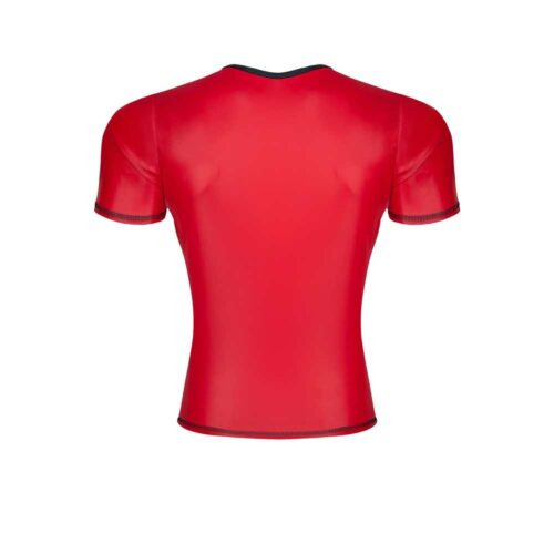 meski-t-shirt-z-wetlooka-w-serek-XXL-137E559-4.jpg meski-t-shirt-z-wetlooka-w-serek-XXL-137E559-4.jpg