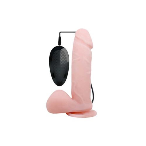 BAILE-Dong-Vibrating-167E137-1.jpg