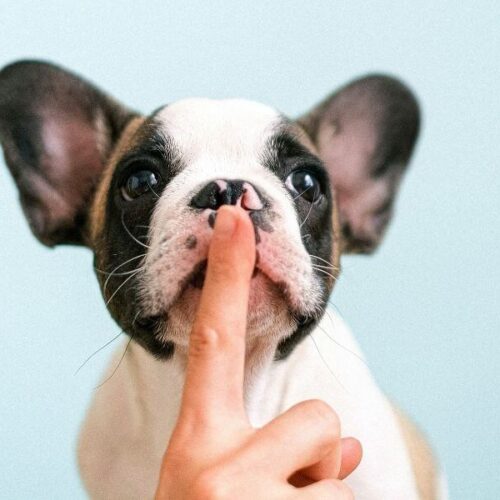 blog sklepu erotycznego eroprezent.pl - sex analny bez tajemnic - CZYNNIK TABU