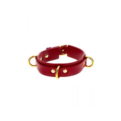 D-Ring-Collar-Deluxe-E324817-1.jpg