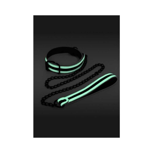 Glo-Collar-And-Leash-E265512-1.jpg
