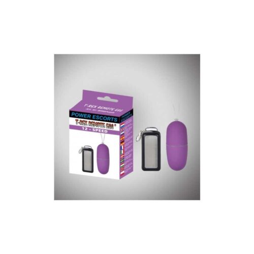 T-rex-remote-egg-purple-remote-control-egg-12-speed-E138427-1.jpg