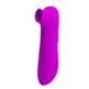 176E102_2-PRETTY-LOVE-MAGIC-FLUTE-USB-12-Sunctions.jpg