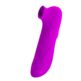 176E102_3-PRETTY-LOVE-MAGIC-FLUTE-USB-12-Sunctions.jpg
