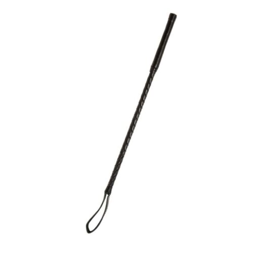 310E499_2-Riding-Crop-Party-Hard-Tease.jpg 310E499_2-Riding-Crop-Party-Hard-Tease.jpg