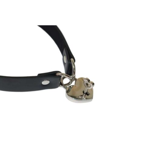 310E515_4-The-Collar-Party-Hard-Utopia.jpg 310E515_4-The-Collar-Party-Hard-Utopia.jpg