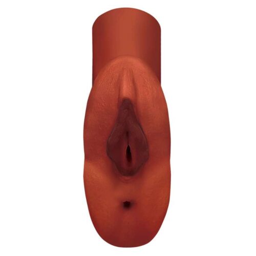 310E787_3-PDX-Plus-PP-Double-Stroker-Bro.jpg 310E787_3-PDX-Plus-PP-Double-Stroker-Bro.jpg