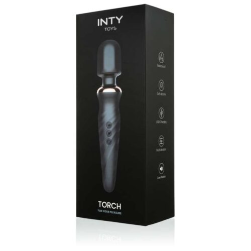 322E517_1-INTY-Toys-Torch.jpg